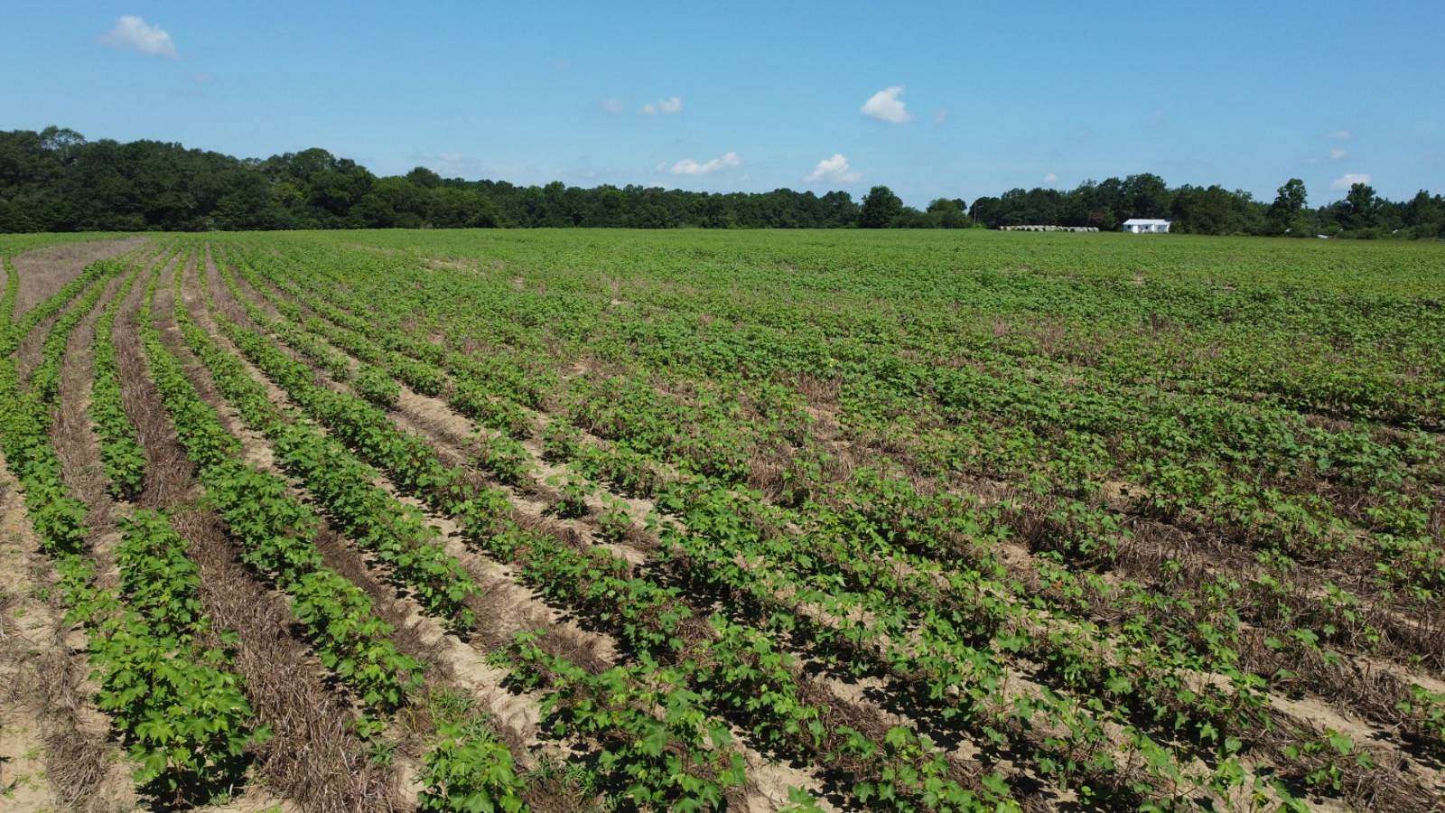 59 Acres of Land with Home for Sale in Coffee Springs, Alabama