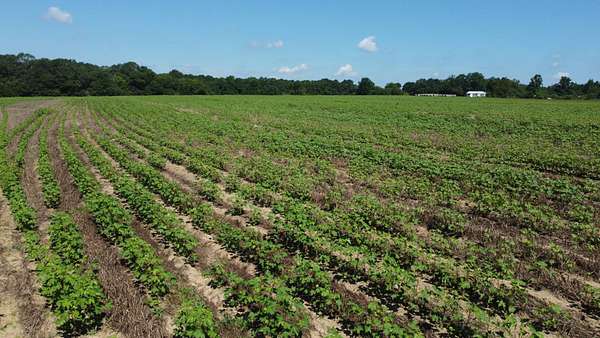 59 Acres of Land with Home for Sale in Coffee Springs, Alabama