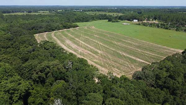 59 Acres of Land with Home for Sale in Coffee Springs, Alabama