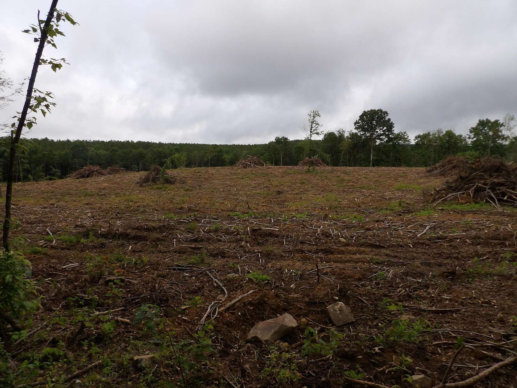 5.36 Acres of Land for Sale in Pikeville, Tennessee