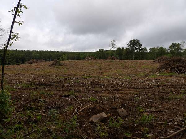 5.36 Acres of Land for Sale in Pikeville, Tennessee