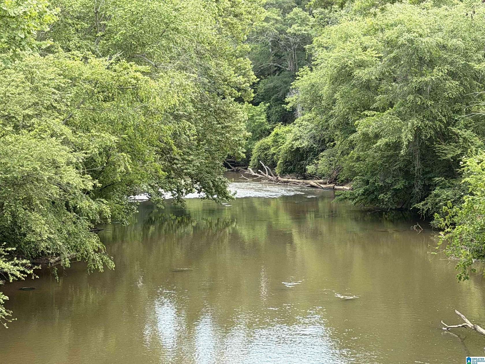 7.5 Acres of Land for Sale in Woodland, Alabama