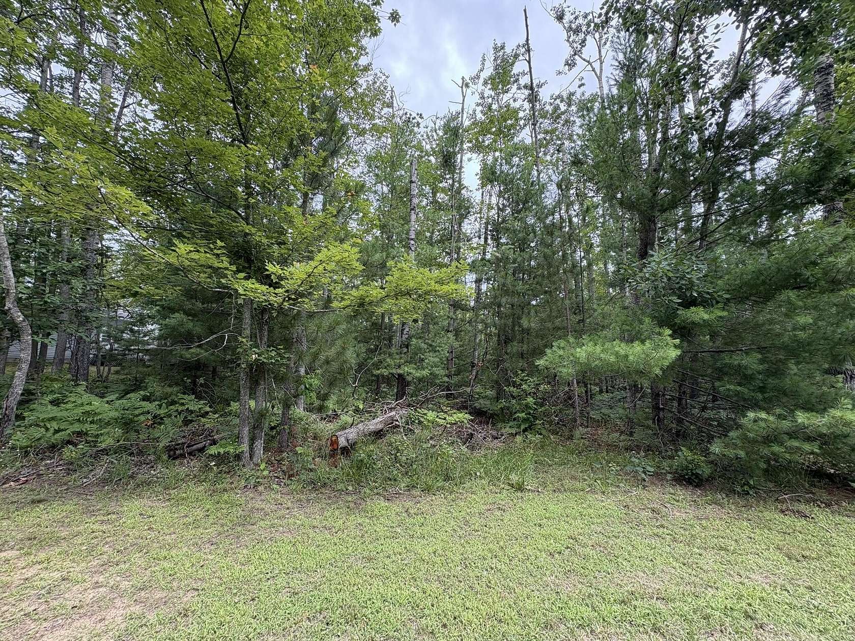 Residential Land for Sale in Hillman, Michigan