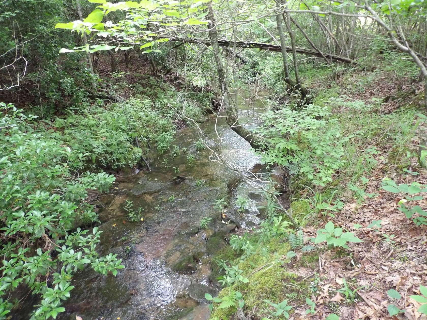 11 Acres of Land for Sale in Evensville, Tennessee