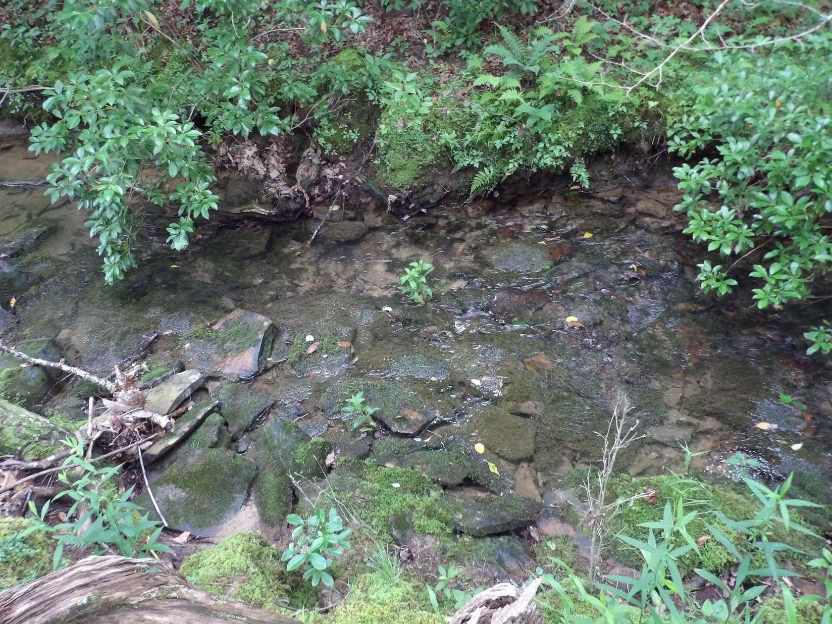 11.6 Acres of Land for Sale in Evensville, Tennessee