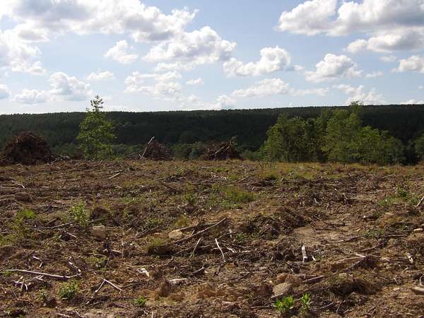 13.1 Acres of Land for Sale in Evensville, Tennessee