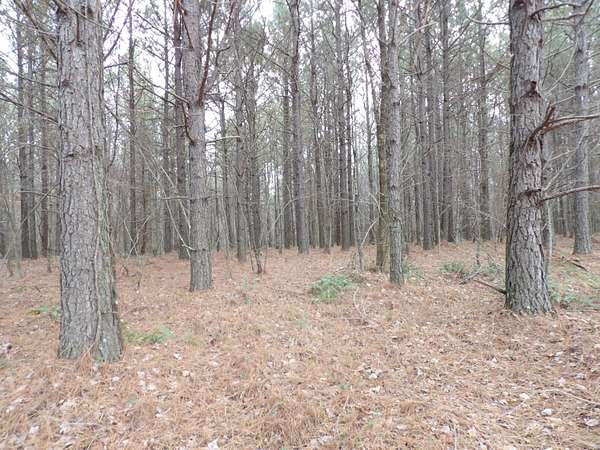 10 Acres of Land for Sale in Evensville, Tennessee