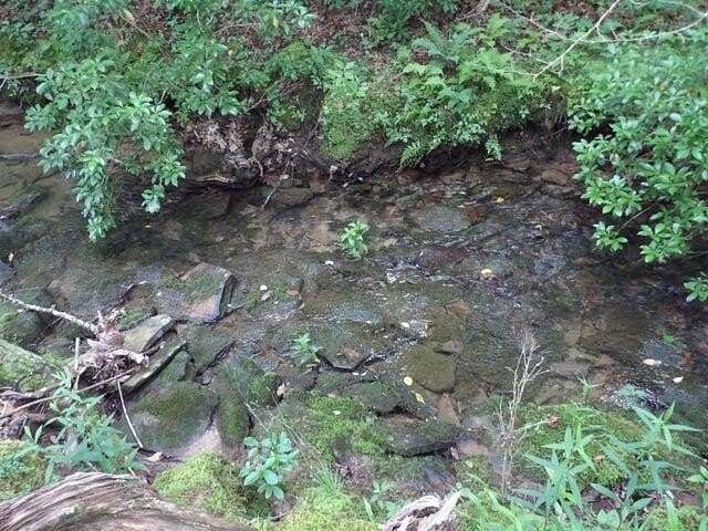 100 Acres of Recreational Land for Sale in Evensville, Tennessee