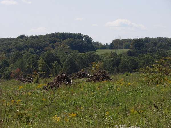 55 Acres of Recreational Land for Sale in Evensville, Tennessee