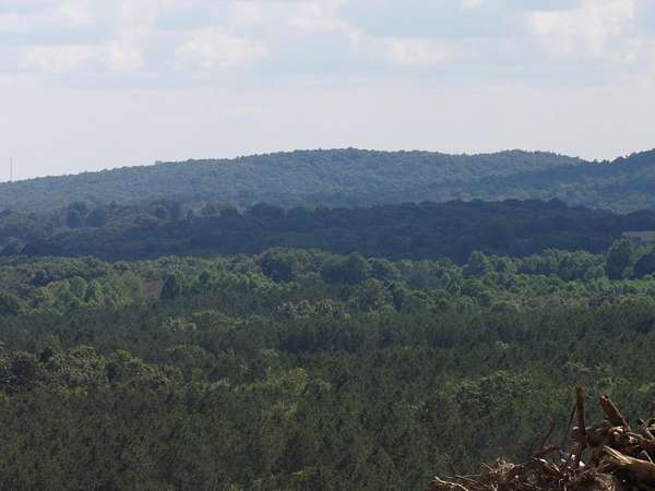 11 Acres of Land for Sale in Evensville, Tennessee