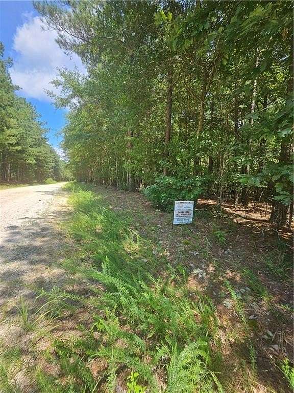 21 Acres of Recreational & Residential Land for Sale in Carlton, Georgia