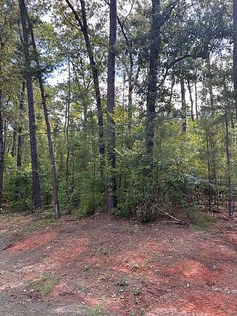 0.61 Acres of Residential Land for Sale in Bronson, Texas