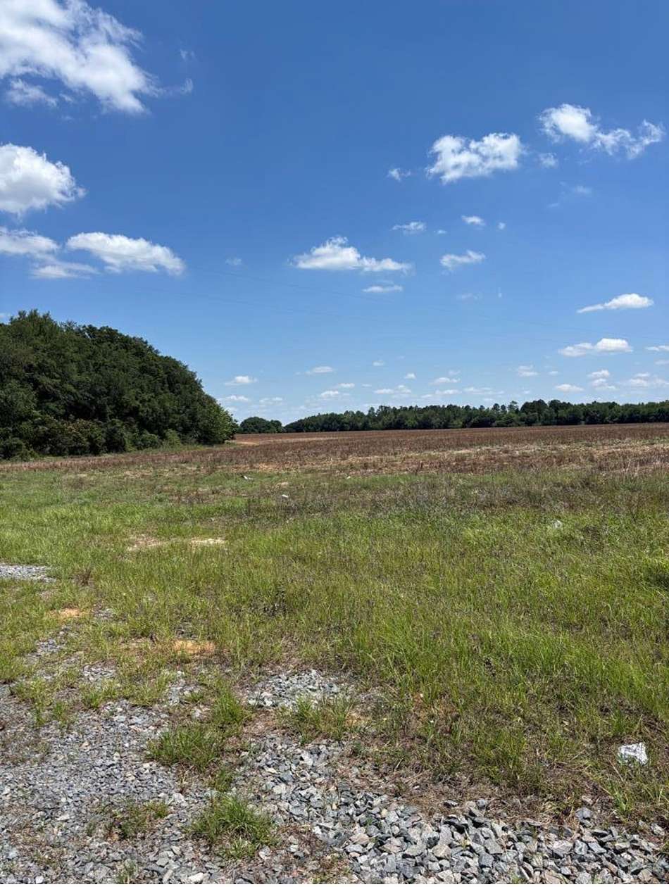 98 Acres of Mixed-Use Land for Sale in Albany, Georgia
