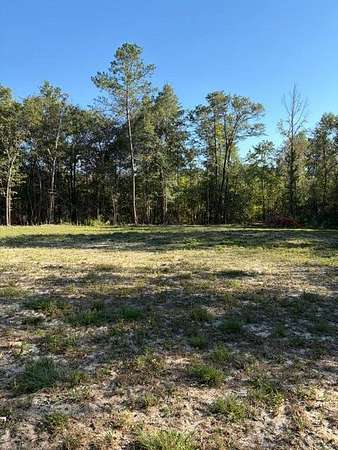 7.1 Acres of Land for Sale in Dozier, Alabama