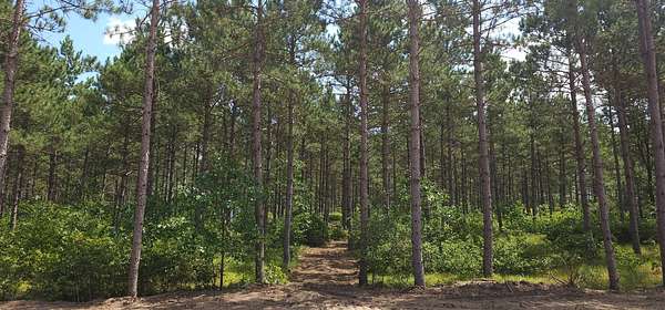 2 Acres of Residential Land for Sale in Rome, Wisconsin