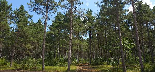 2 Acres of Residential Land for Sale in Rome, Wisconsin