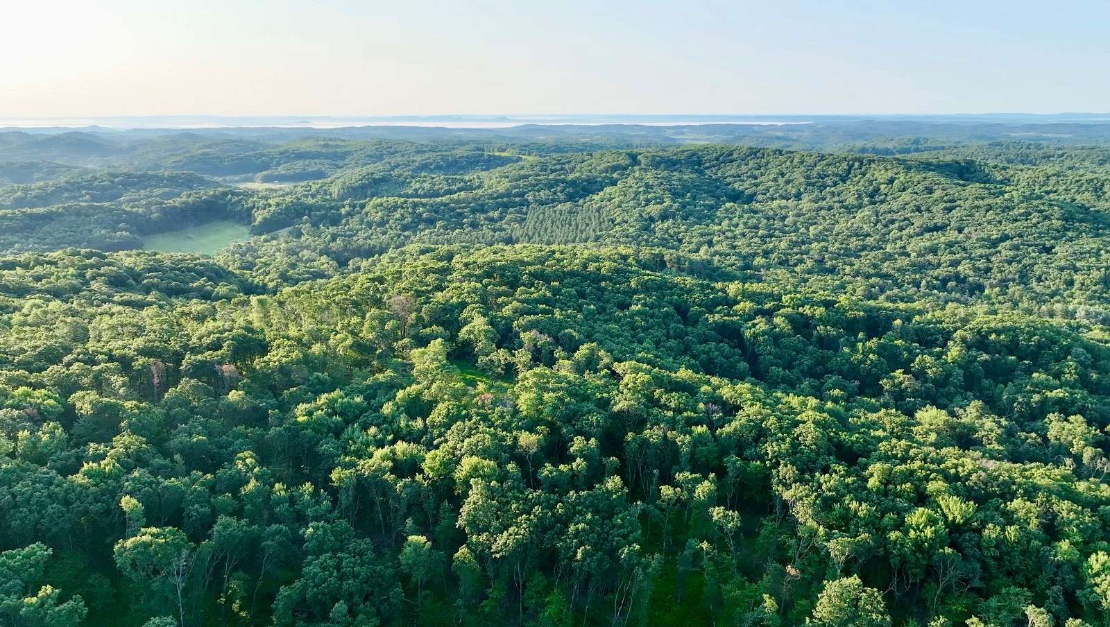 75.4 Acres of Land for Sale in Hixton, Wisconsin