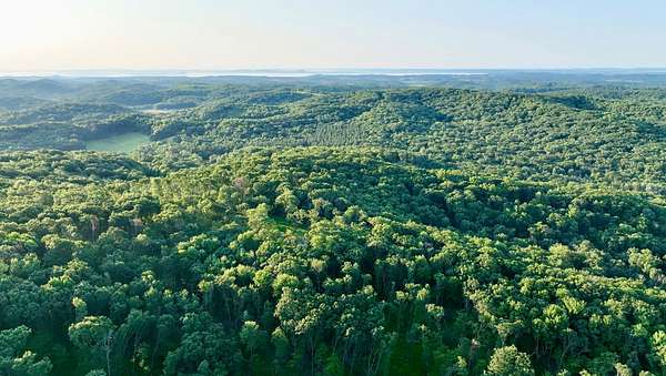 75.4 Acres of Land for Sale in Hixton, Wisconsin