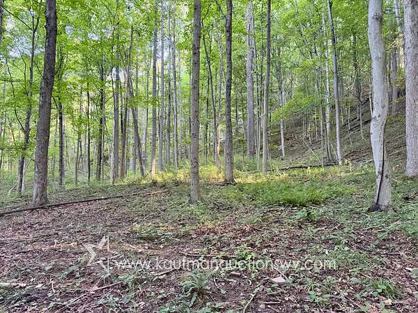 144 Acres of Recreational Land for Auction in St. Marys, West Virginia