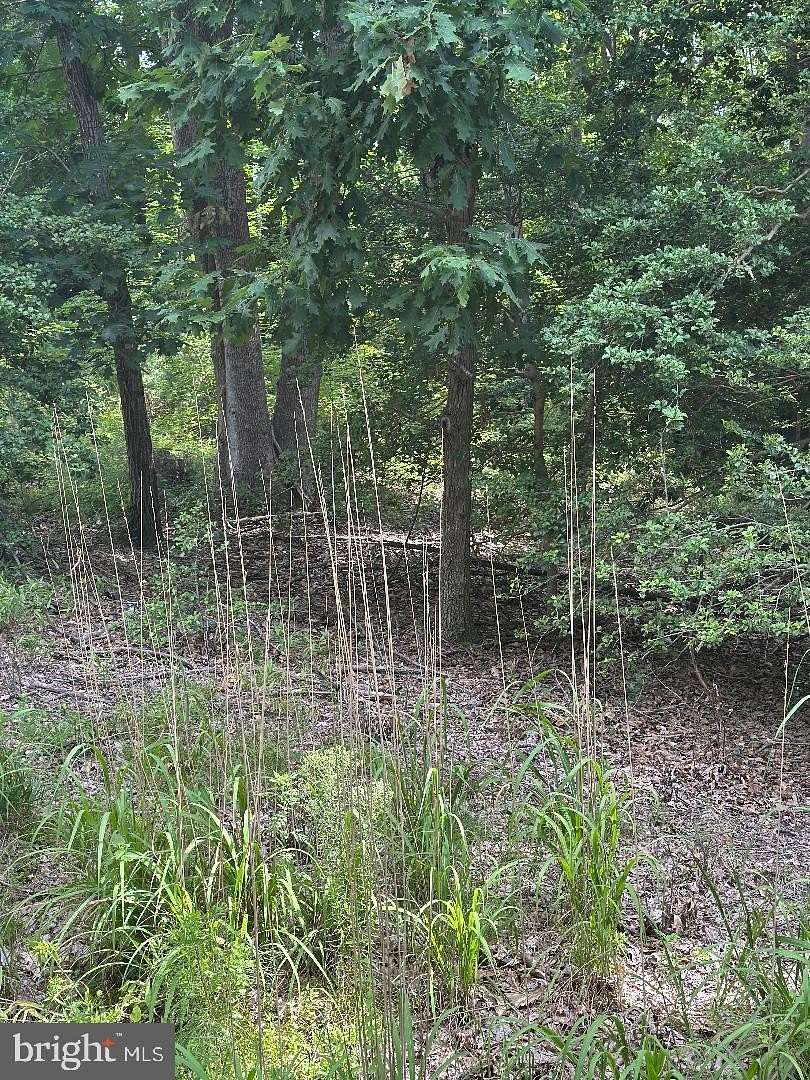 0.46 Acres of Land for Sale in Montross, Virginia