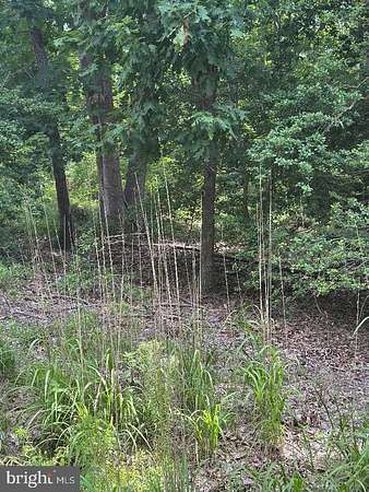 0.46 Acres of Land for Sale in Montross, Virginia