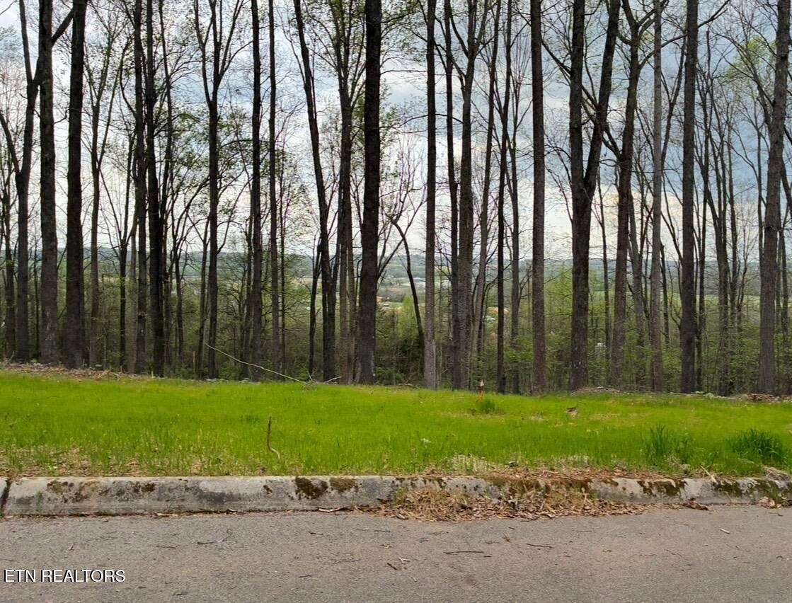 1.38 Acres of Residential Land for Sale in Sweetwater, Tennessee