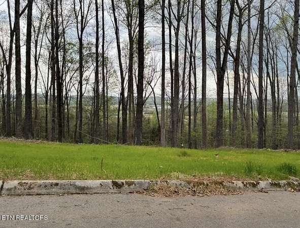 1.38 Acres of Residential Land for Sale in Sweetwater, Tennessee