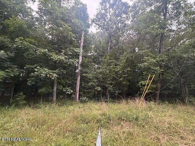 0.28 Acres of Residential Land for Sale in Crossville, Tennessee
