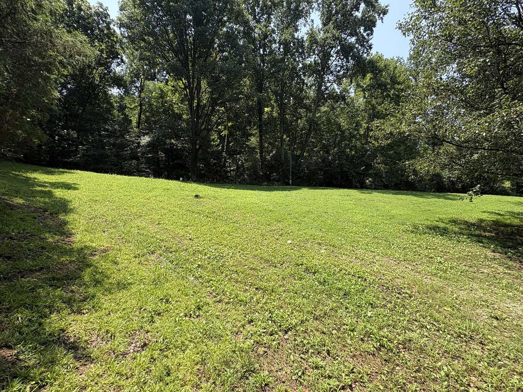 0.51 Acres of Residential Land for Sale in Cornersville, Tennessee