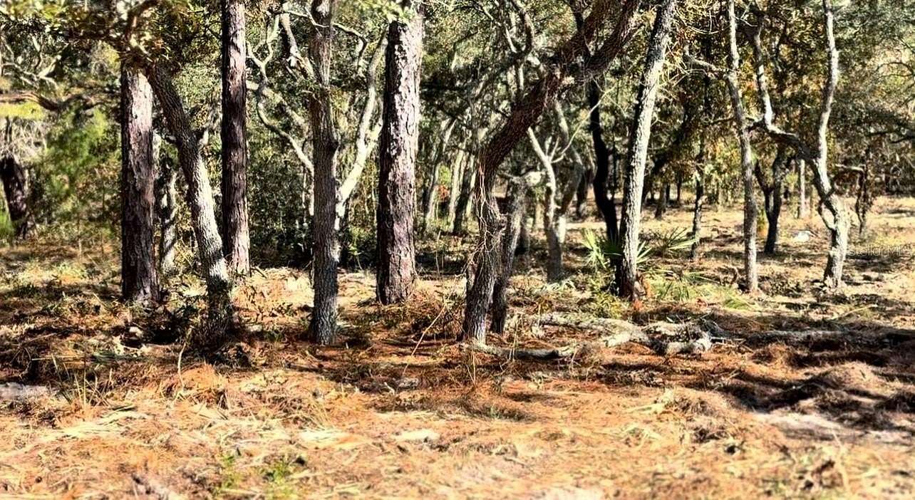 9.2 Acres of Residential Land for Sale in Brooksville, Florida