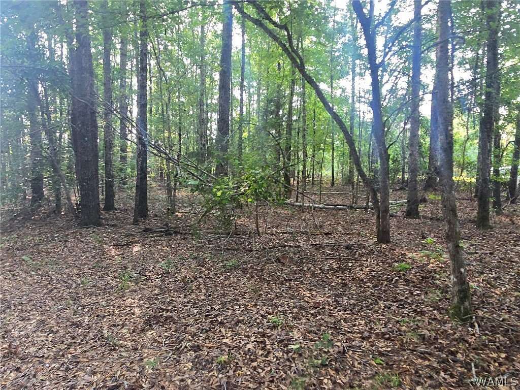 2.85 Acres of Residential Land for Sale in Vance, Alabama