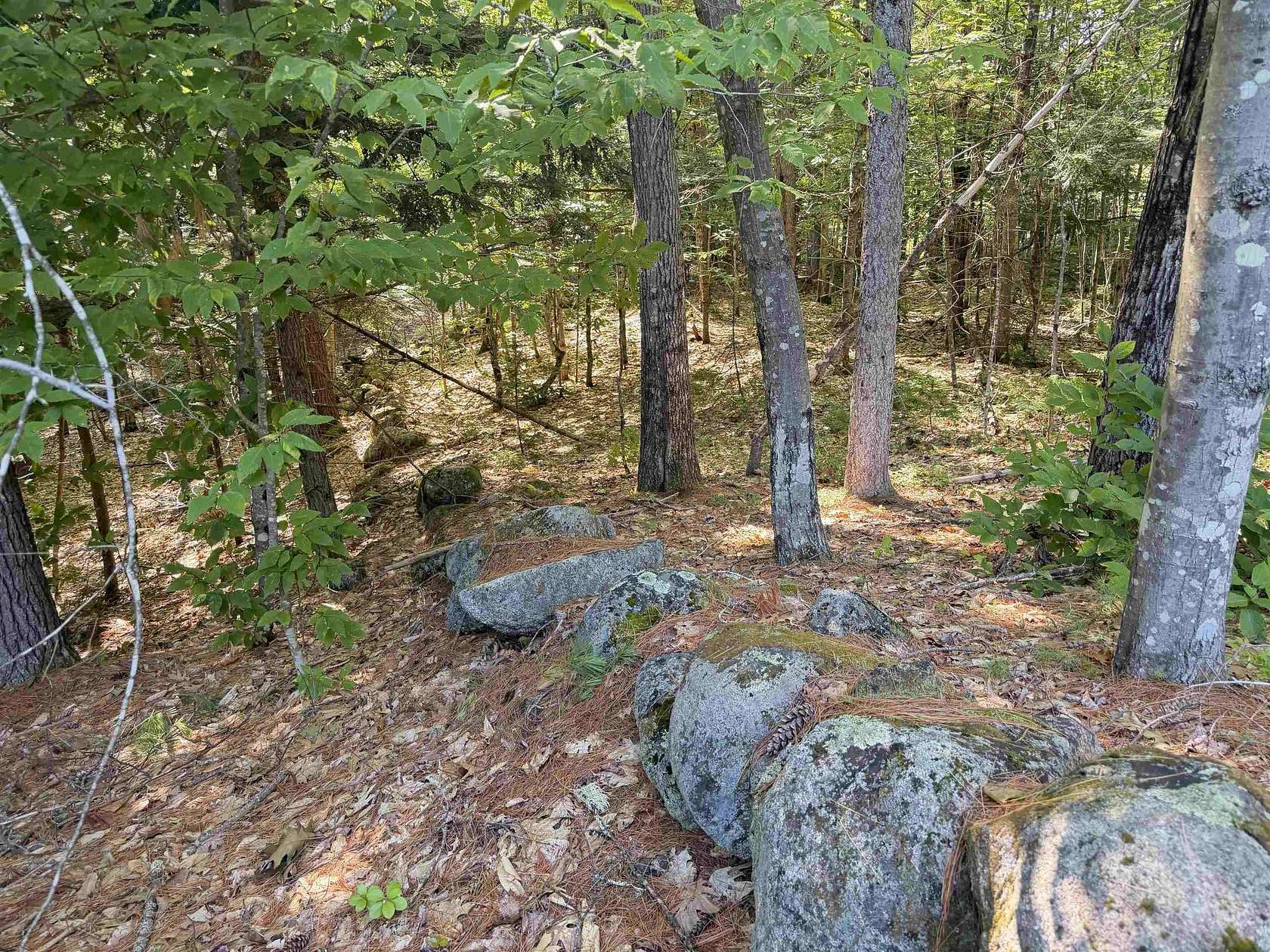 3.19 Acres of Residential Land for Sale in Tamworth, New Hampshire
