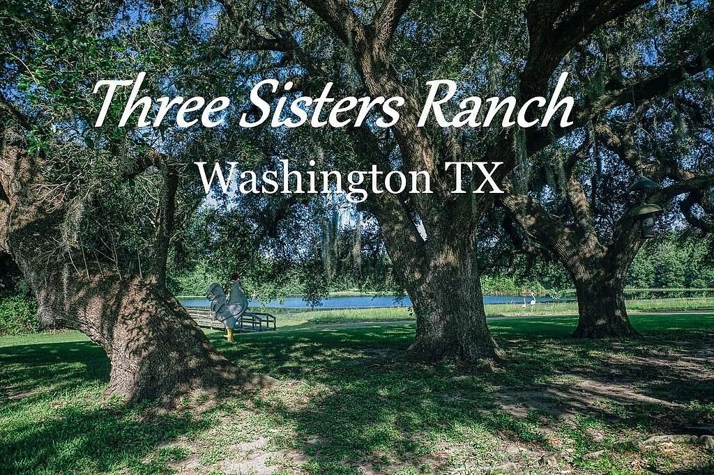 86.7 Acres of Land with Home for Sale in Washington, Texas