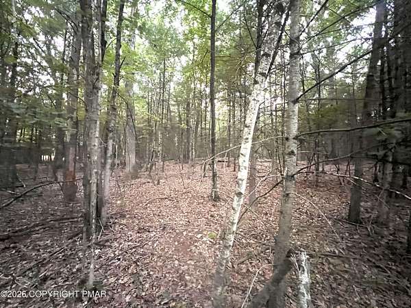 8 Acres of Mixed-Use Land for Sale in Effort, Pennsylvania