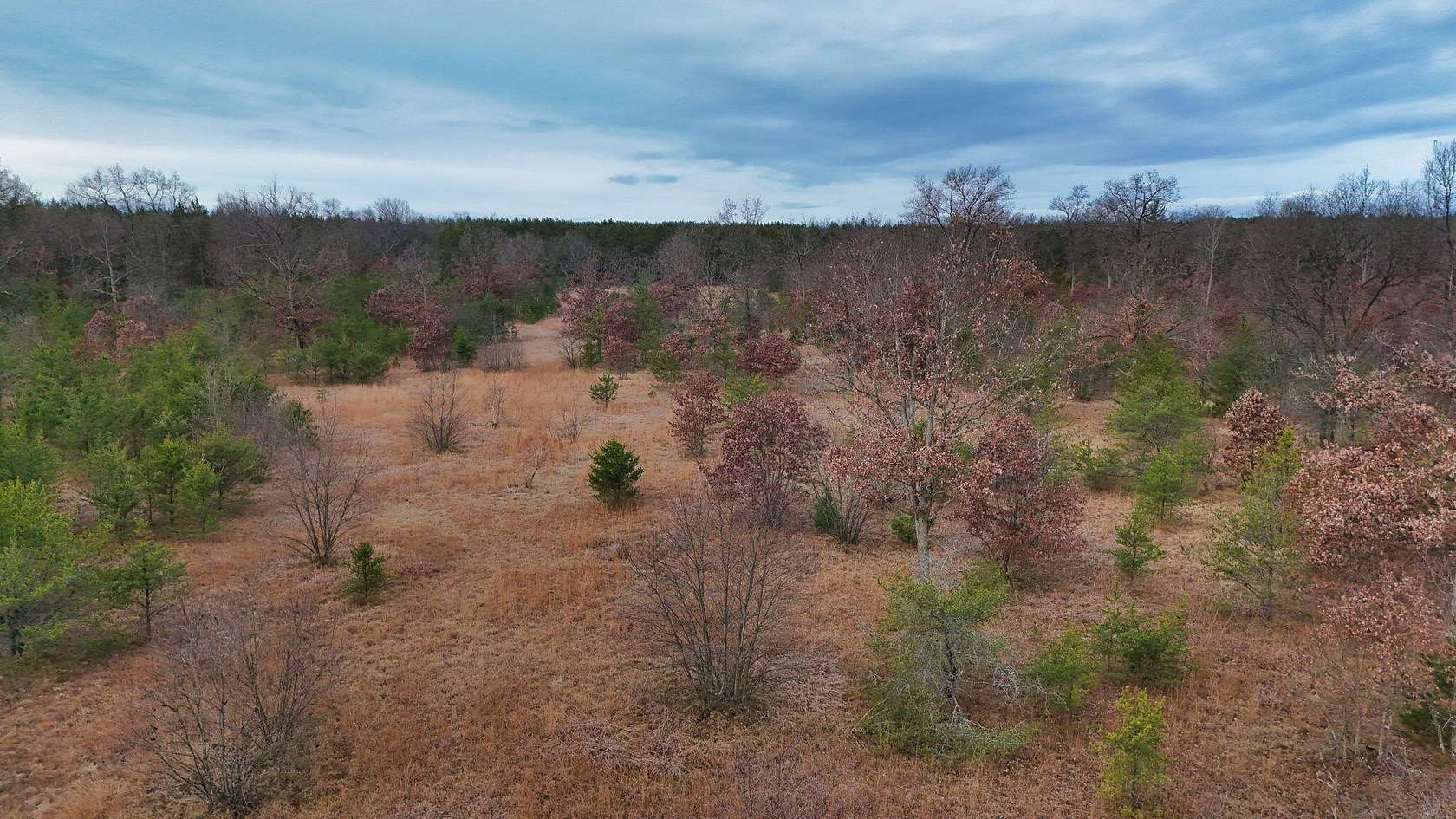 40 Acres of Recreational & Residential Land for Sale in Manistee, Michigan