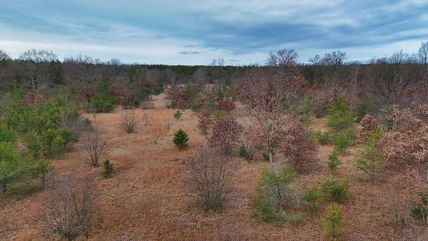 40 Acres of Recreational & Residential Land for Sale in Manistee, Michigan