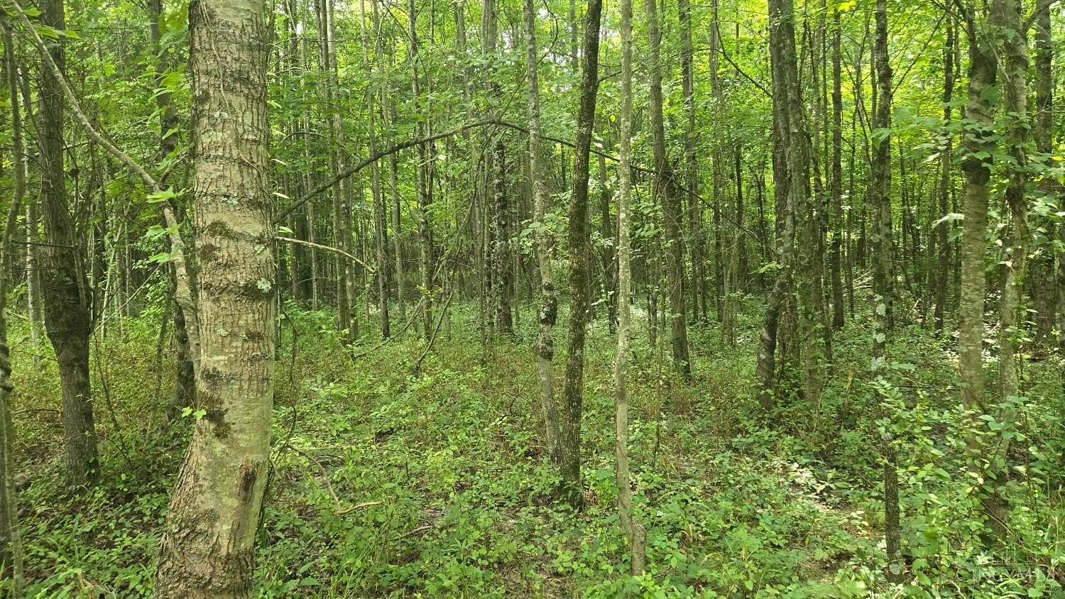4.44 Acres of Residential Land for Sale in Blanchester, Ohio