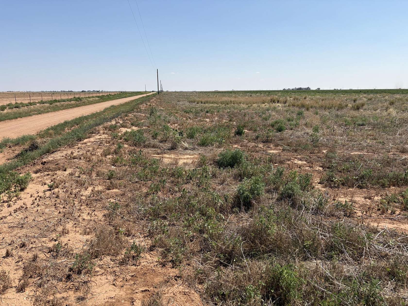 177 Acres of Agricultural Land for Sale in Levelland, Texas