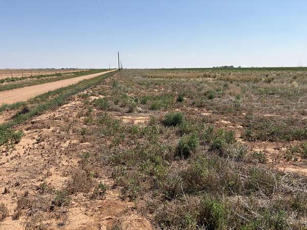 177 Acres of Agricultural Land for Sale in Levelland, Texas