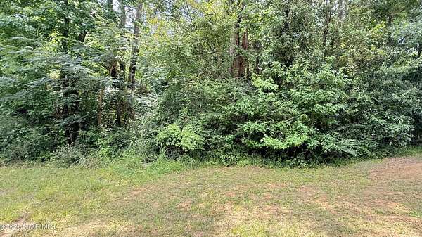 0.28 Acres of Residential Land for Sale in Louisville, Mississippi