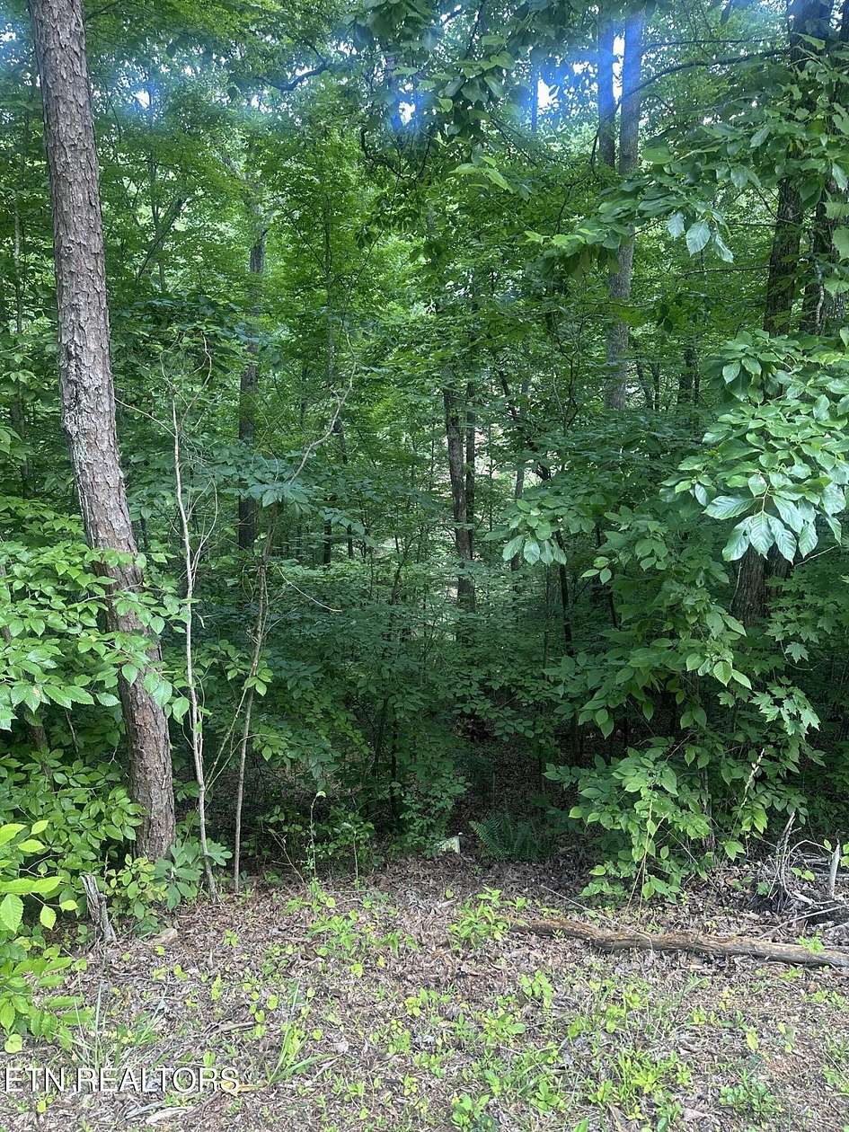 0.01 Acres of Residential Land for Sale in Maynardville, Tennessee