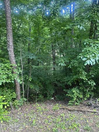 0.01 Acres of Residential Land for Sale in Maynardville, Tennessee