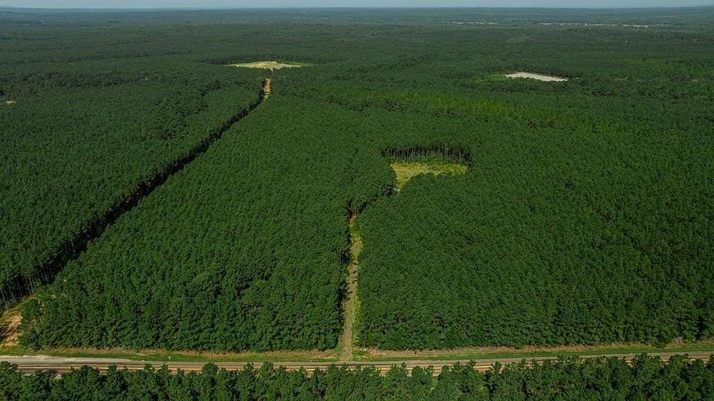 34.1 Acres of Recreational & Residential Land for Sale in San Augustine, Texas
