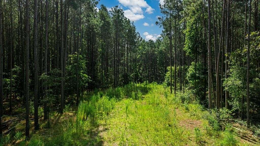 34.1 Acres of Recreational & Residential Land for Sale in San Augustine, Texas