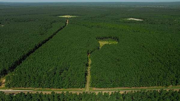 34.1 Acres of Recreational & Residential Land for Sale in San Augustine, Texas