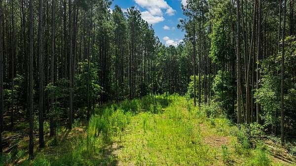 34.1 Acres of Recreational & Residential Land for Sale in San Augustine, Texas