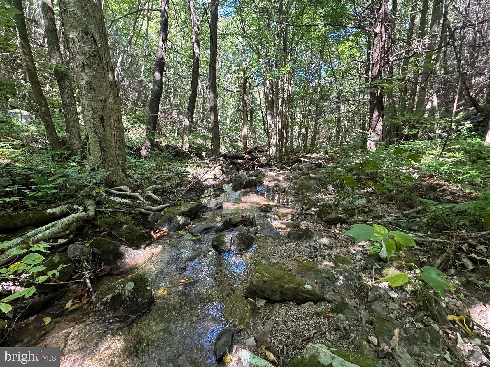 94.9 Acres of Recreational Land for Auction in Three Springs, Pennsylvania
