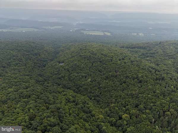 94.9 Acres of Recreational Land for Auction in Three Springs, Pennsylvania