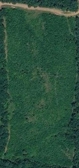 19 Acres of Land for Sale in Shongaloo, Louisiana