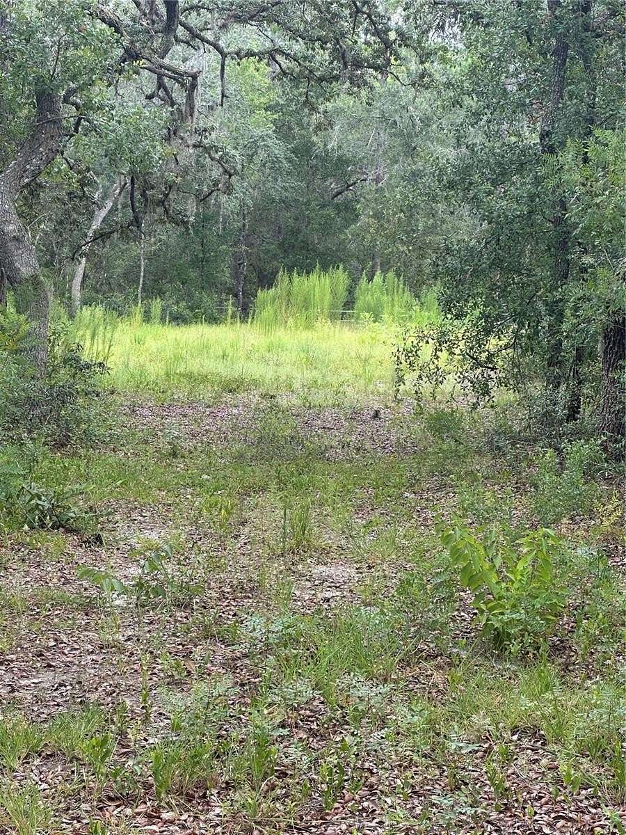 2.29 Acres of Residential Land for Sale in Morriston, Florida